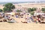 pushkar fair images, images of pushkar fair